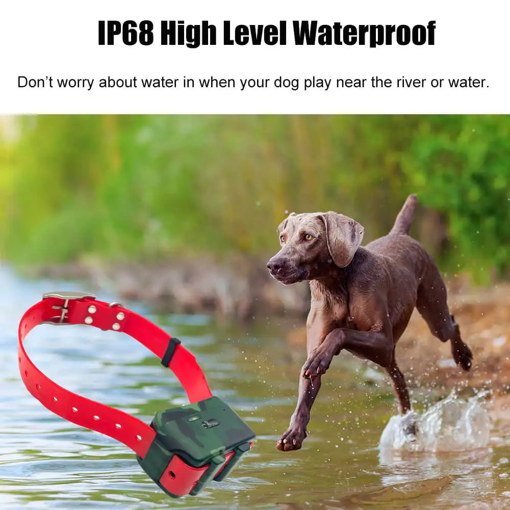 4G Mini GPS Pet Tracker NZ | Anti-Lost Dog Collar with Free App & Website Access – PawNest