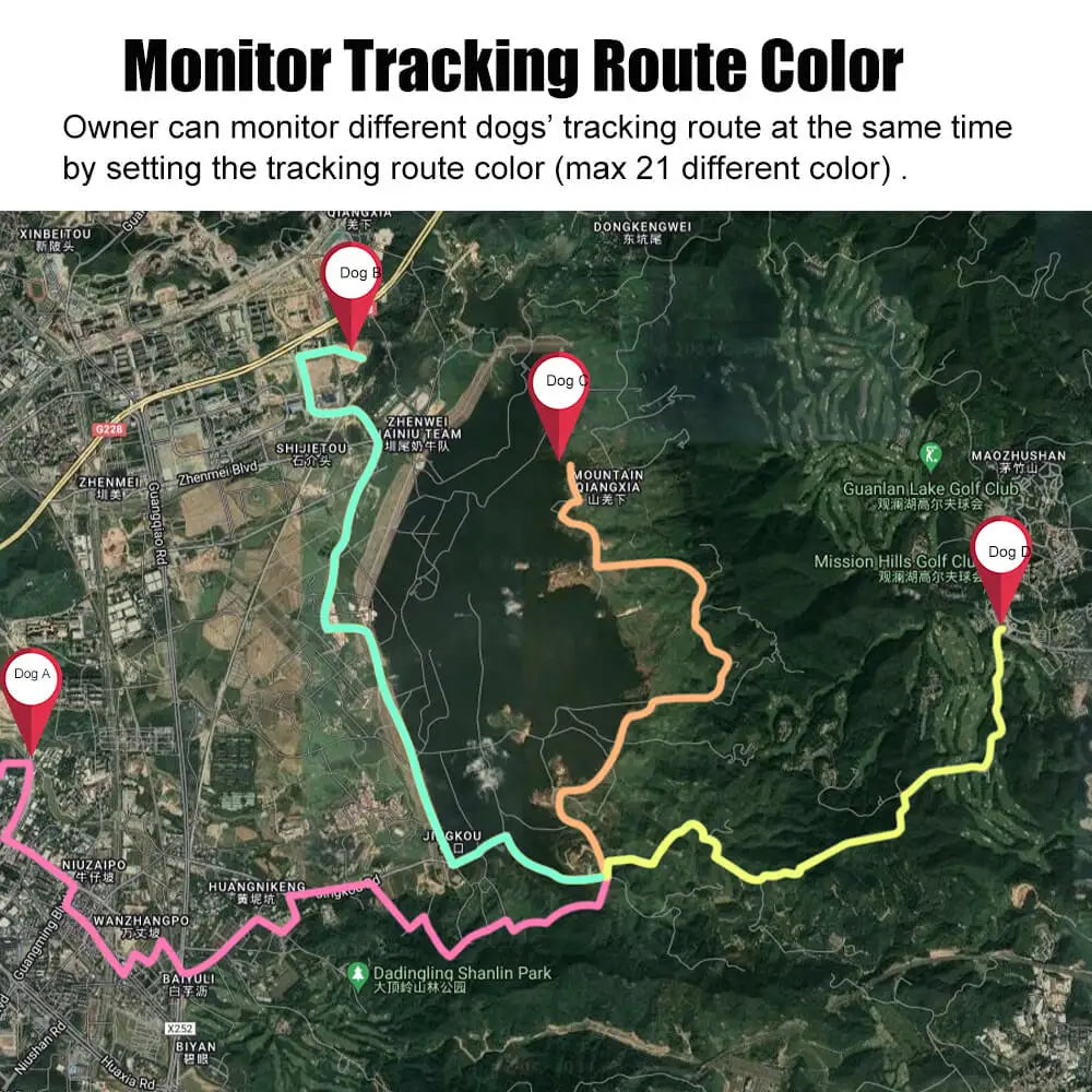 4G Mini GPS Pet Tracker NZ | Anti-Lost Dog Collar with Free App & Website Access – PawNest