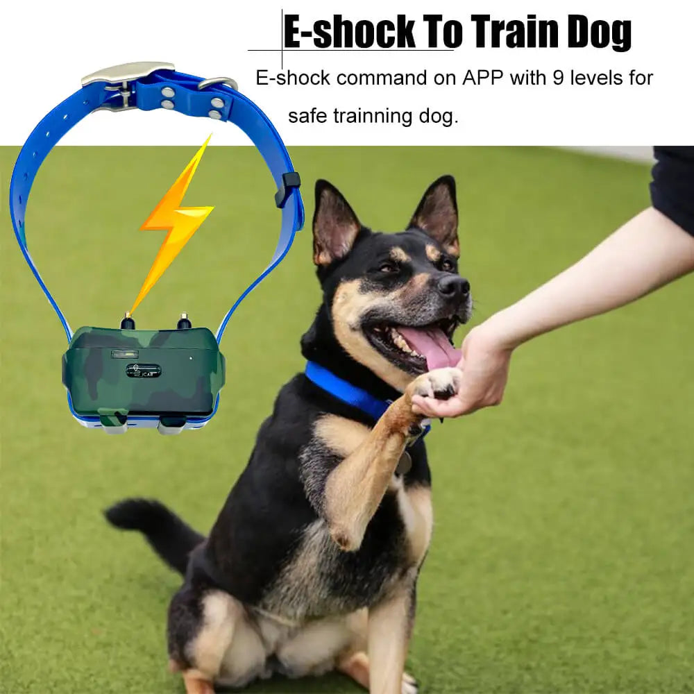 4G Mini GPS Pet Tracker NZ | Anti-Lost Dog Collar with Free App & Website Access – PawNest