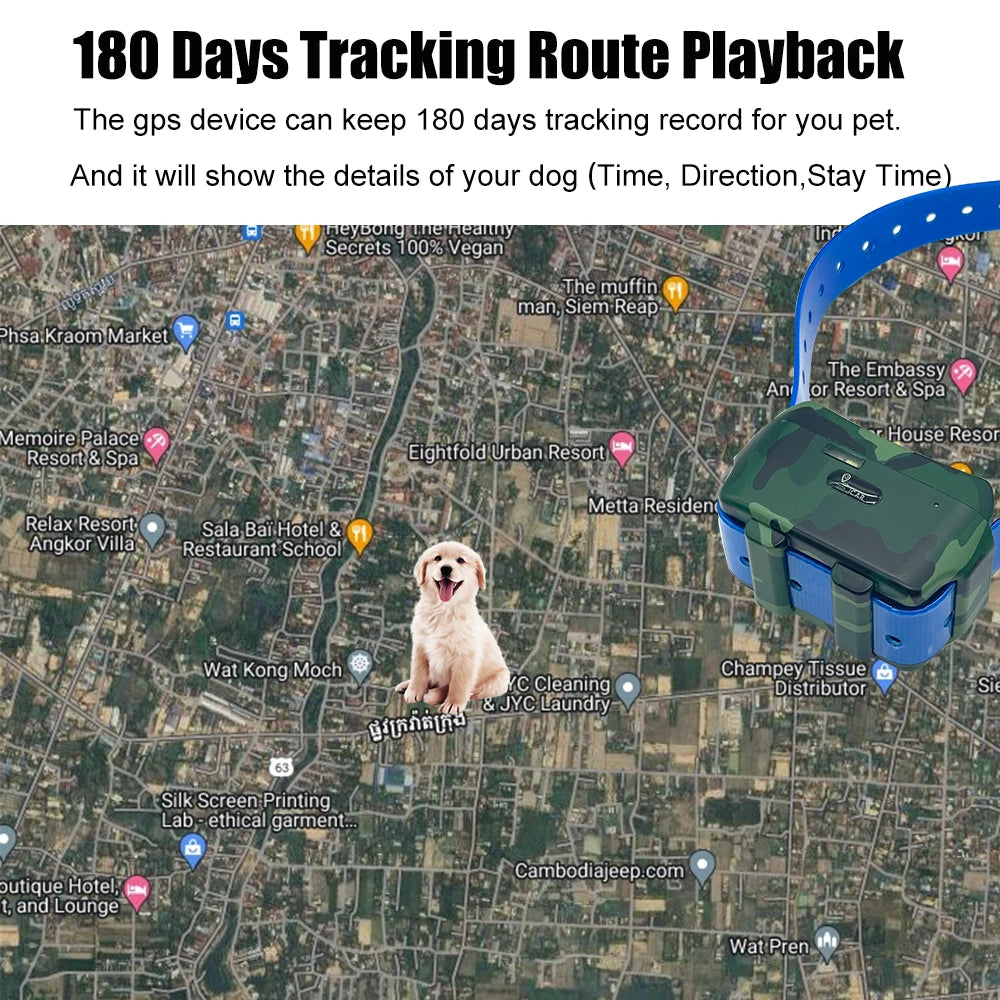 4G Mini GPS Pet Tracker NZ | Anti-Lost Dog Collar with Free App & Website Access – PawNest