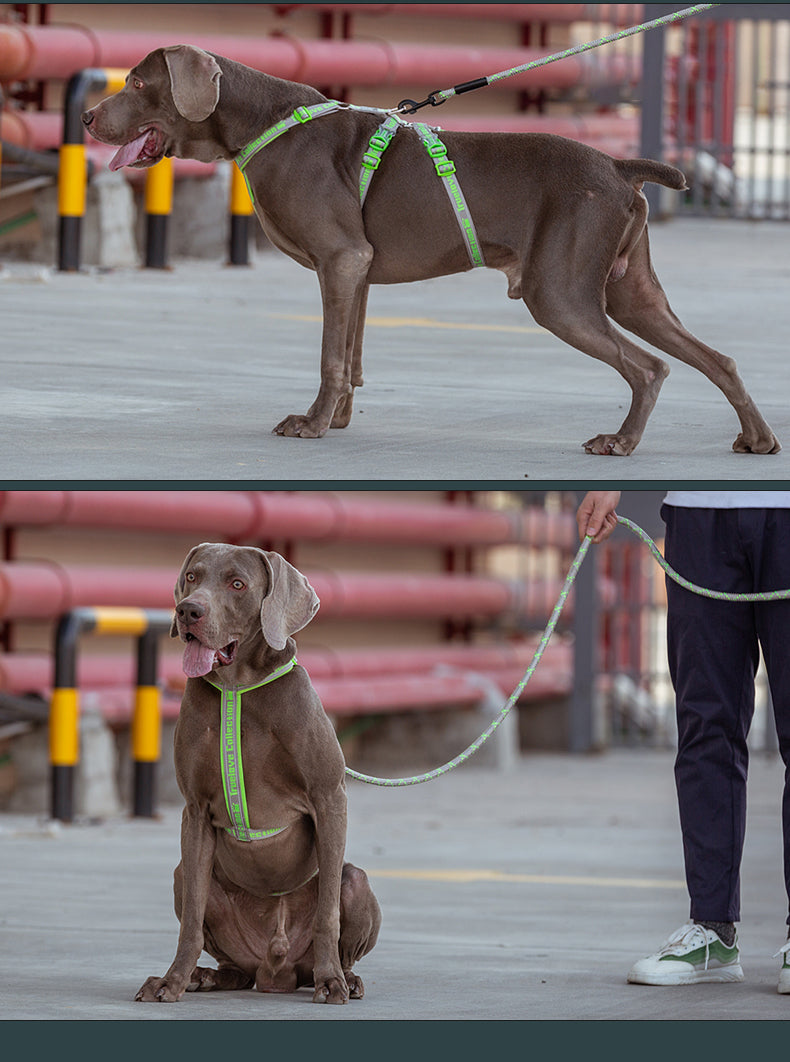 Truelove Nylon Reflective Dog Harness TLH6571 NZ | Durable SBR Buckle & Leash Compatible – PawNest