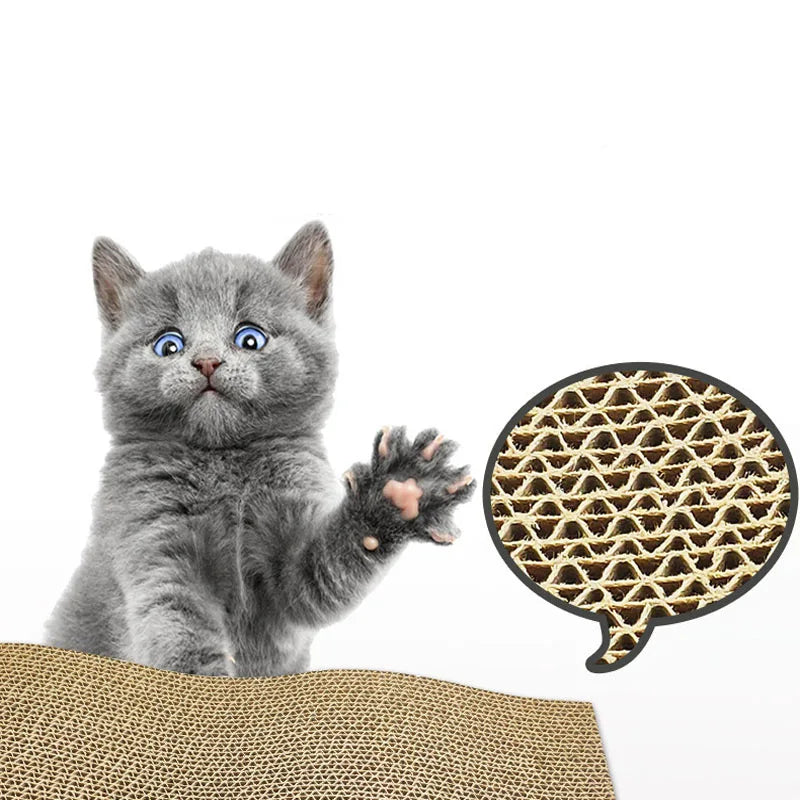 Wearable Cat Scratcher Toy NZ | Cardboard Claw Grinder & Scraping Board for Cats – PawNest