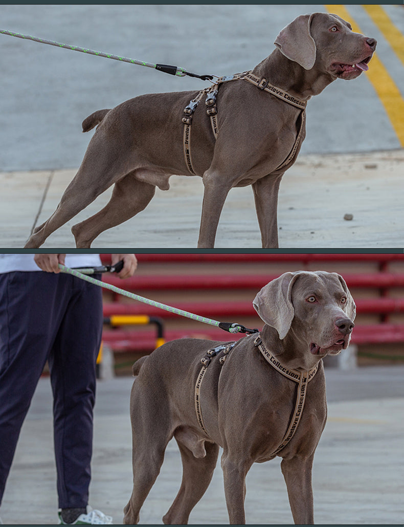 Truelove Nylon Reflective Dog Harness TLH6571 NZ | Durable SBR Buckle & Leash Compatible – PawNest