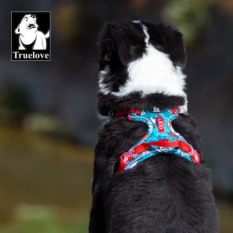 Truelove No-Pull Dog Harness NZ | Front Nylon Adjustable Safety Vest for Small & Large Dogs – PawNest