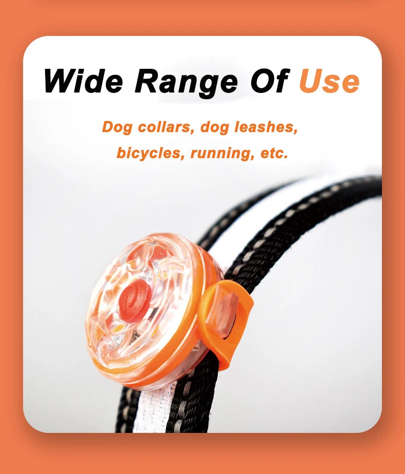 Dog Anti-Loss LED Collar – Waterproof, USB Rechargeable Light