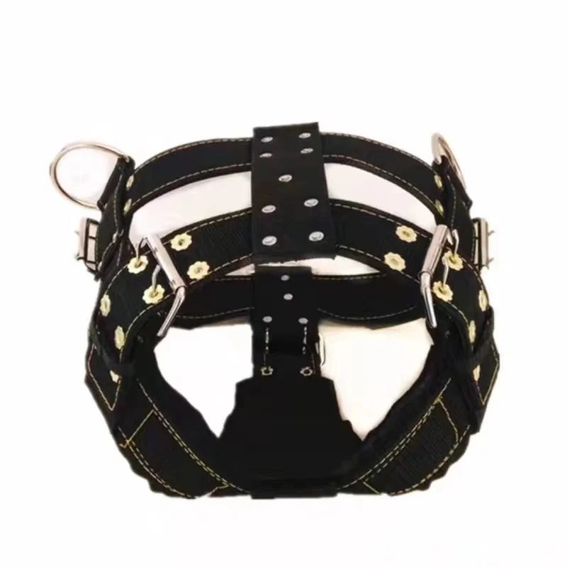 Large Dog Harness NZ | Durable Pit Bull Harness & Leash Set – Wholesale Pet Accessories – PawNest