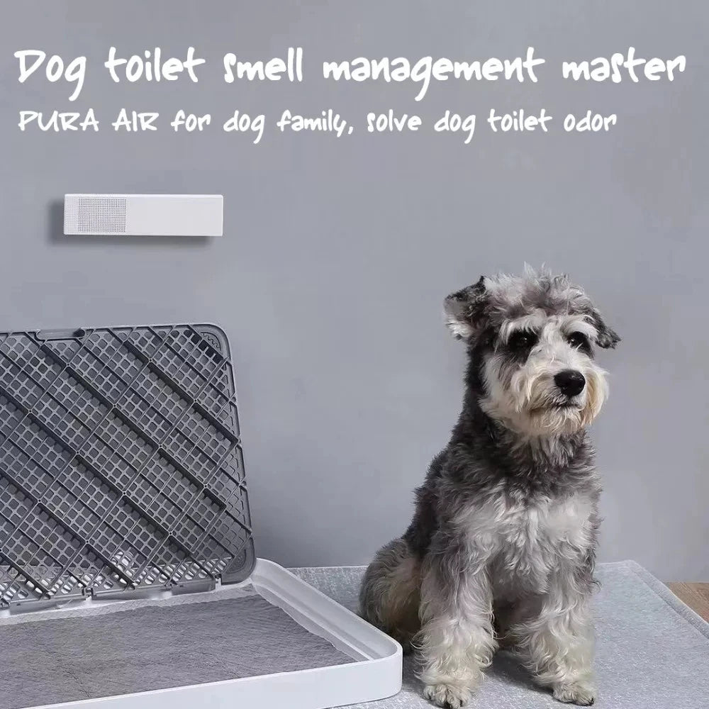 Petkit Pura Air Smart Pet Deodorizer NZ | Odor Removal for Dogs & Cats – PawNest