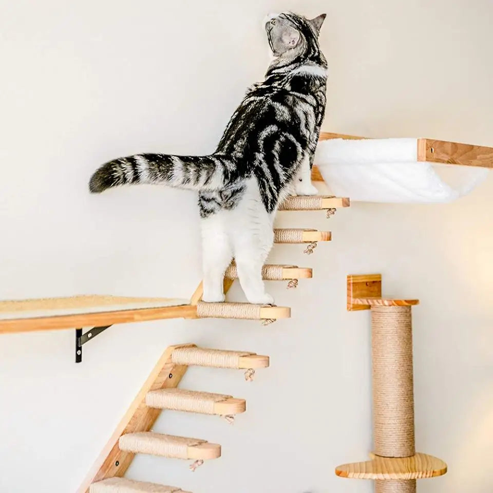 Cat Climbing Shelf Furniture NZ | Wall-Mounted Wooden Cat Shelves & Scratching Perches – PawNest