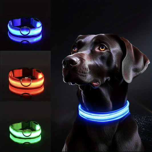 Reflective LED Dog Collar – Night Safety for Small & Medium Dogs
