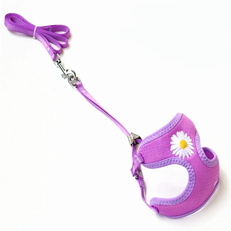 Daisy Embroidered Harness & Leash Set NZ | Small & Medium Dogs, Kittens, Puppies – PawNest