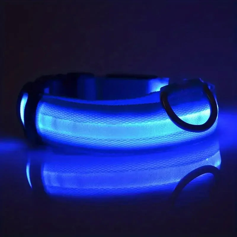 Light Up LED Dog Collar – Safety Flashing Glow Battery Collar