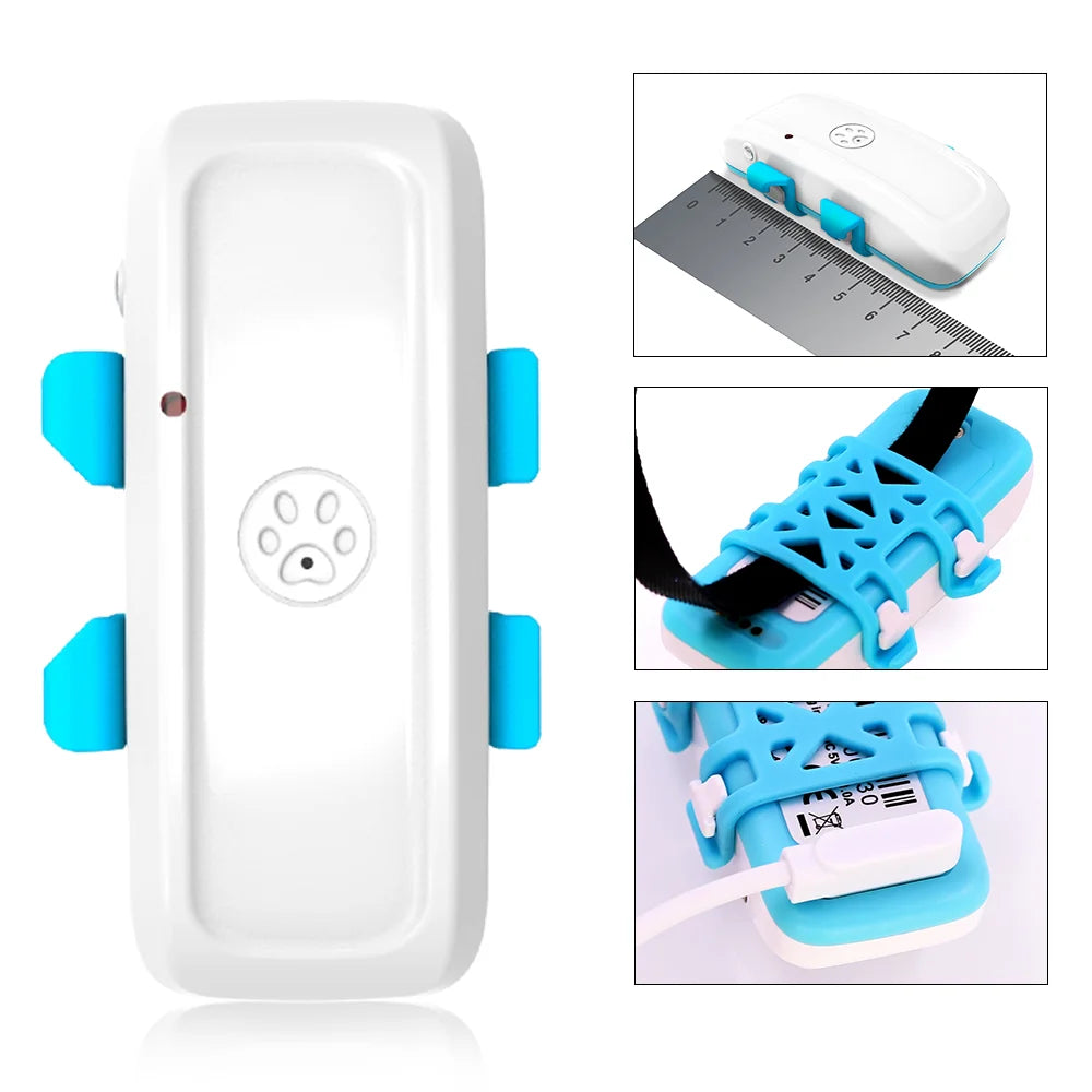 4G Pet GPS Tracker TK911Pro NZ | Real-Time Dog & Animal Finder with Geo-fence & Free App – PawNest