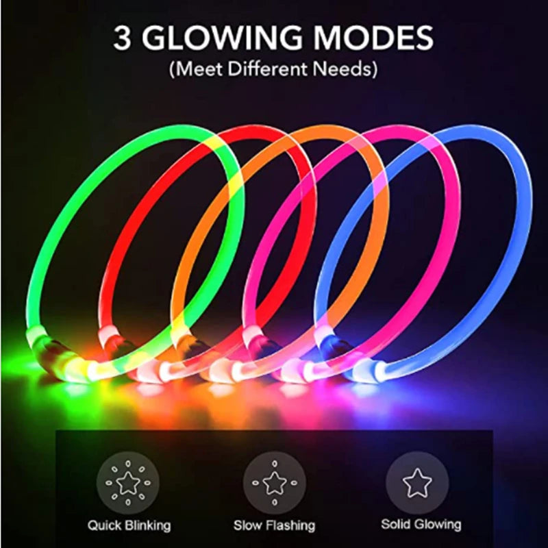 Luminous Dog Collar Light – USB Rechargeable LED Safety Collar