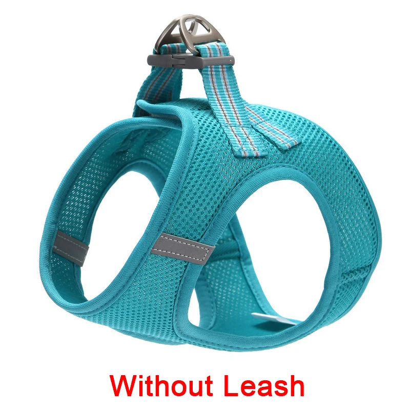 Adjustable Dog Harness Vest & Walking Leash NZ | Medium Dogs & Cats – PawNest
