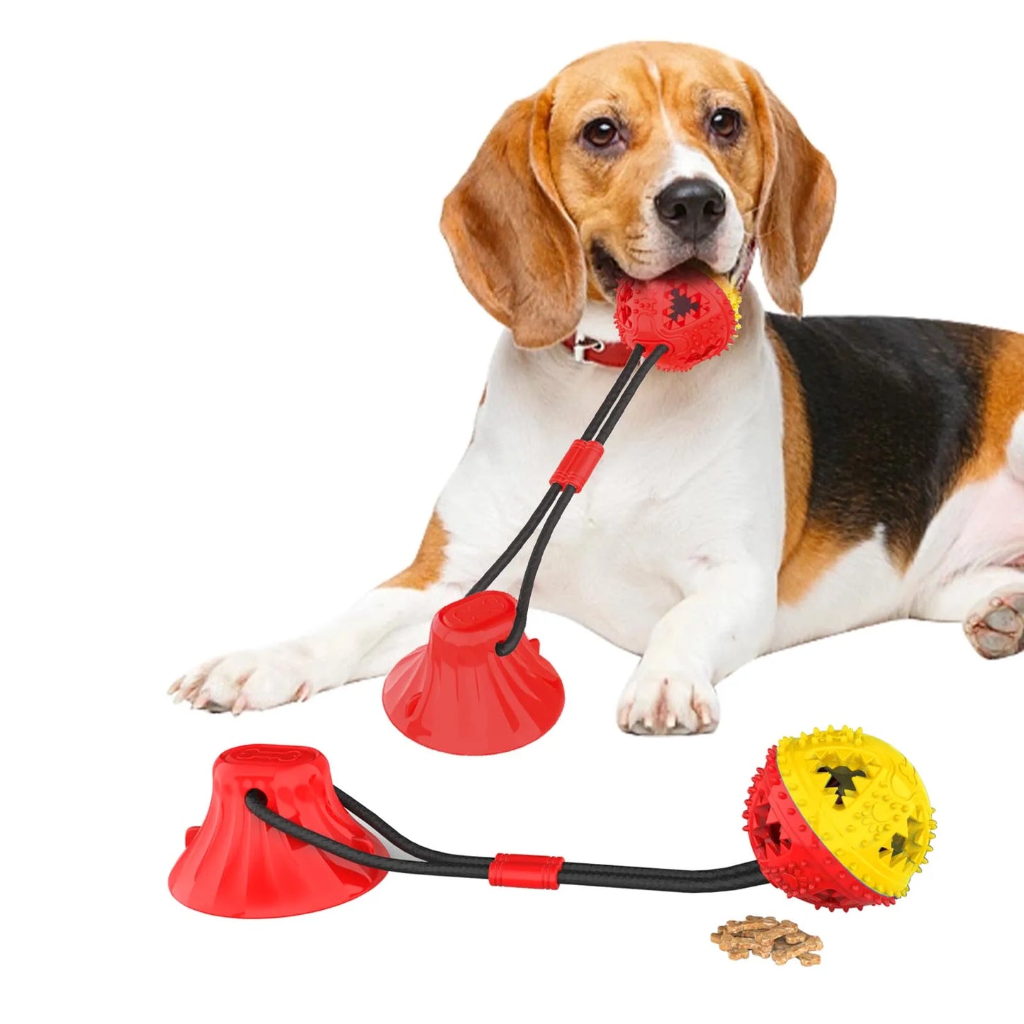 Dog Chew Toy Balls NZ | Rubber Teeth Cleaning & Treat Dispensing Balls for Dogs & Cats – PawNest
