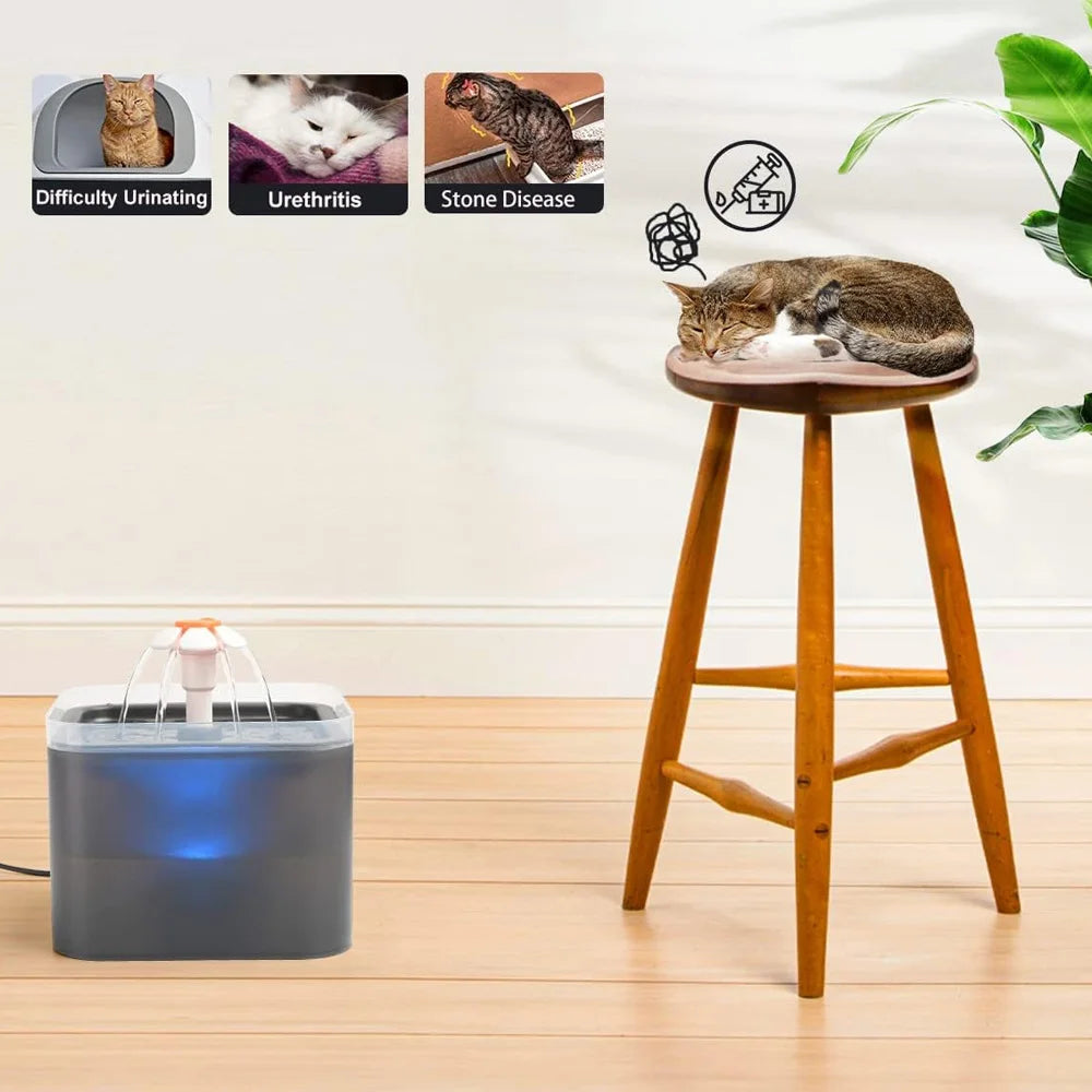 2L Automatic Cat Water Fountain NZ | LED Light & Filtered Pet Water Dispenser – PawNest