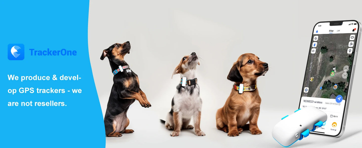 Global Pet Tracker NZ | Waterproof GPS Dog & Cat Tracker with App – Low Service Fee – PawNest
