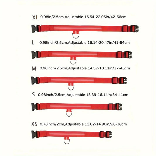 Reflective LED Dog Collar – Night Safety for Small & Medium Dogs