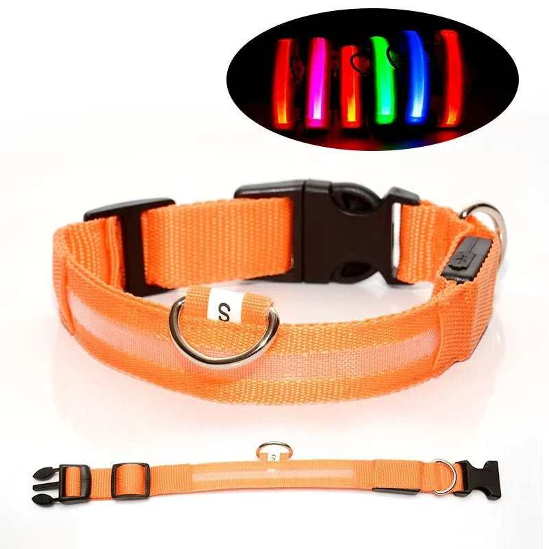 Reflective LED Dog Collar – Night Safety for Small & Medium Dogs