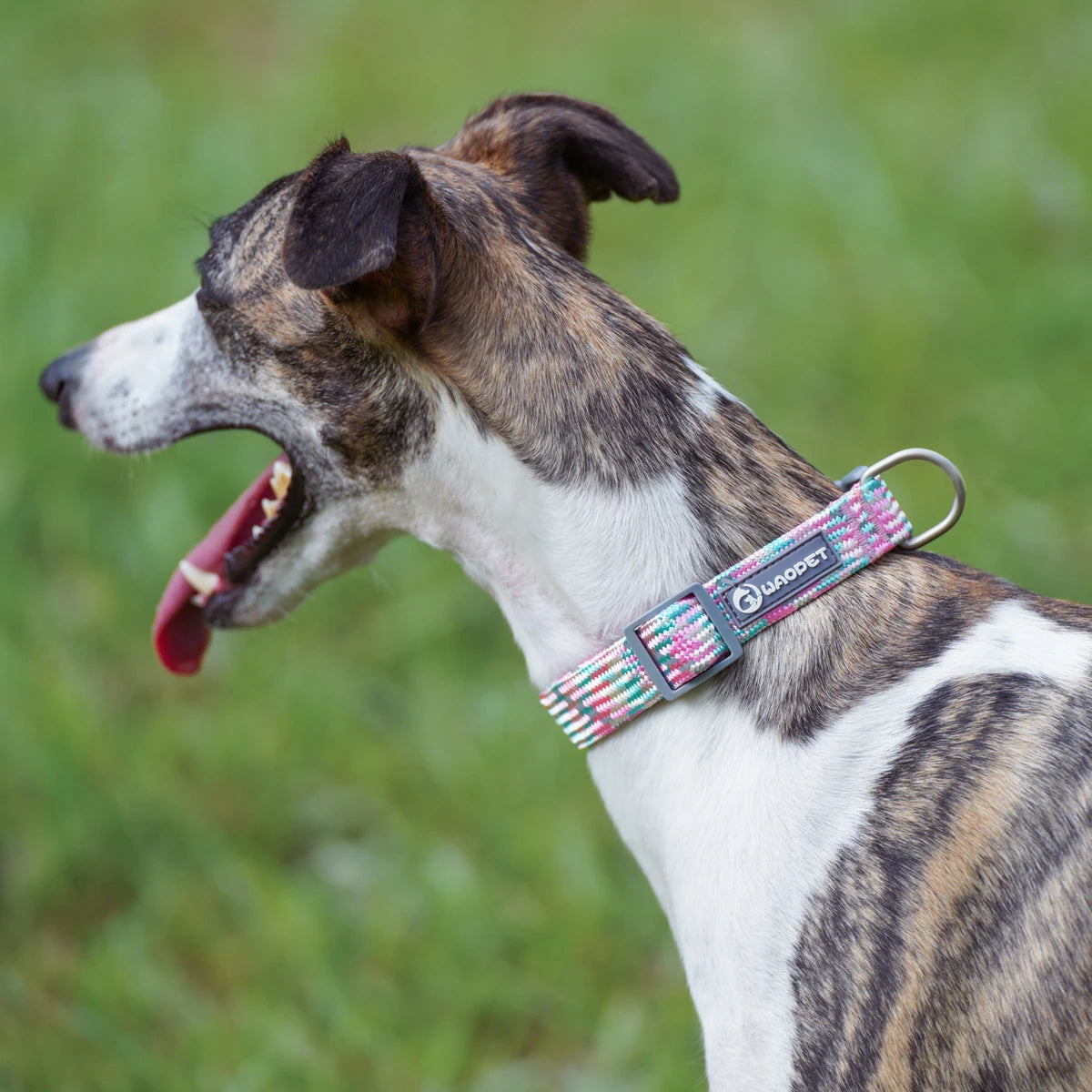 Reflective Adjustable Dog Collar – Anti-Lost Military Design