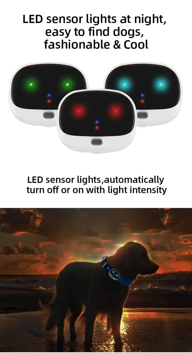 4G Mini GPS Pet Tracker NZ | Waterproof Real-Time Locator with LED & Two-Way Voice for Cats & Dogs – PawNest