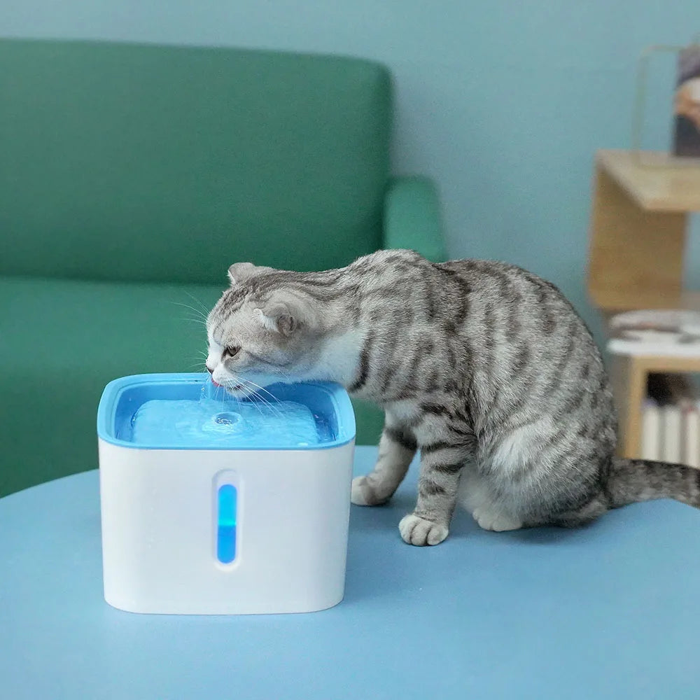 Petsafe Automatic Pet Water Fountain NZ | Filtered Cat & Dog Water Dispenser – PawNest