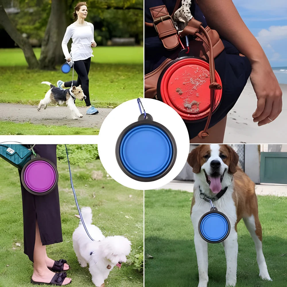 350ml Collapsible Silicone Pet Bowl – Portable Travel Dog Bowl