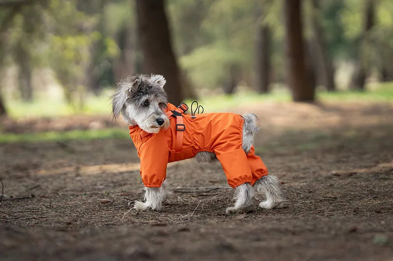 Waterproof Dog Raincoat with Harness NZ | Reflective Adjustable Jumpsuit for Small & Medium Dogs – PawNest