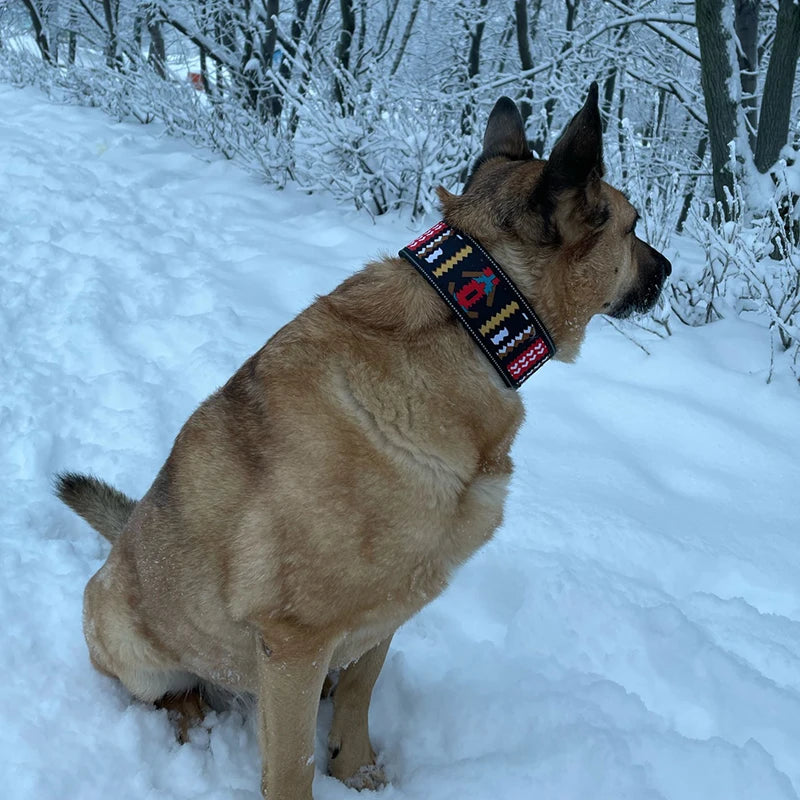 Fashion Reflective Big Dog Collar – Adjustable for All Sizes