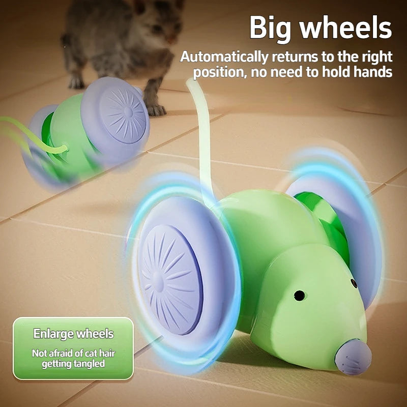 Interactive Cat Toy NZ | Electric Mouse Teaser with Obstacle Avoidance – PawNest