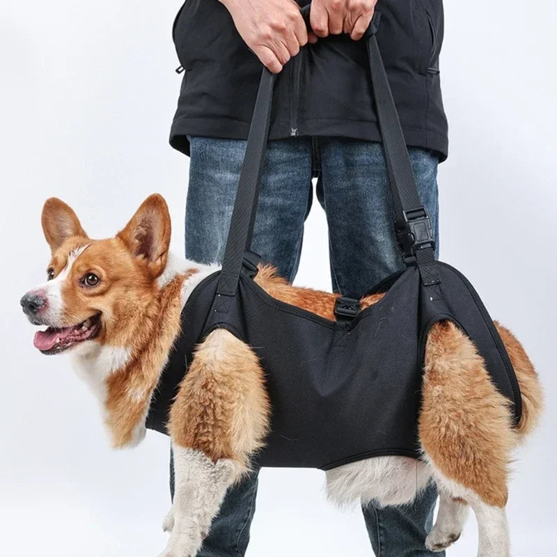 Dog Lift Harness NZ | Full-Body Support Sling for Large Elderly, Injured & Disabled Dogs – PawNest