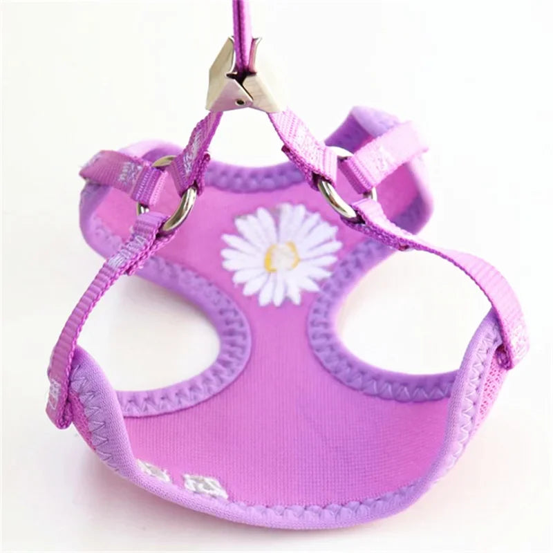 Daisy Embroidered Harness & Leash Set NZ | Small & Medium Dogs, Kittens, Puppies – PawNest
