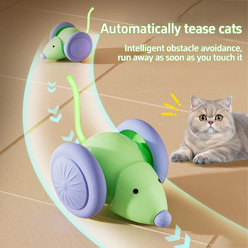 Interactive Cat Toy NZ | Electric Mouse Teaser with Obstacle Avoidance – PawNest