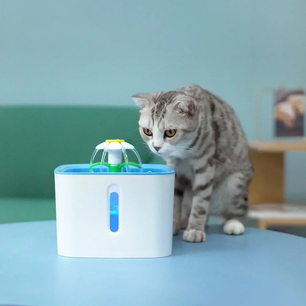 Petsafe Automatic Pet Water Fountain NZ | Filtered Cat & Dog Water Dispenser – PawNest
