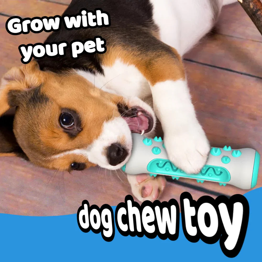 Dog Chew Toy & Treat Dispenser NZ | Interactive Teeth Cleaning Toy for Small & Large Dogs – PawNest