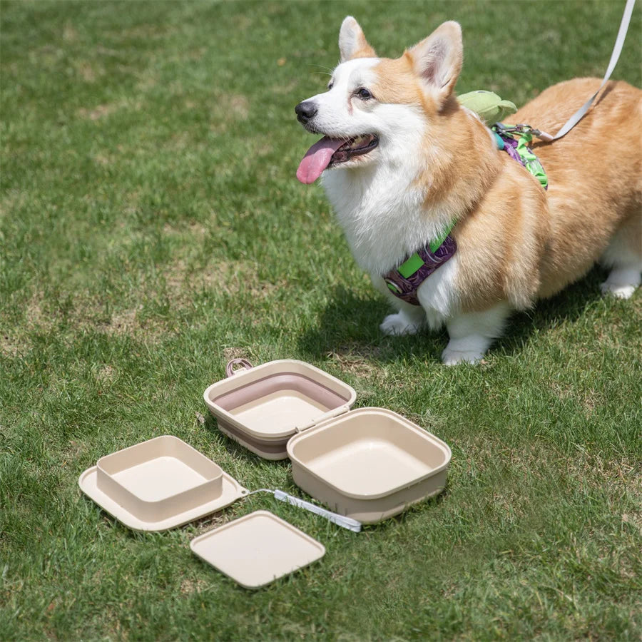 Madden Portable Double-Decker Dog & Cat Travel Bowl – Foldable