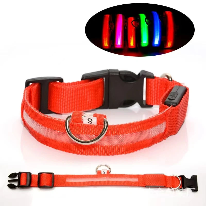 Reflective LED Dog Collar – Night Safety for Small & Medium Dogs
