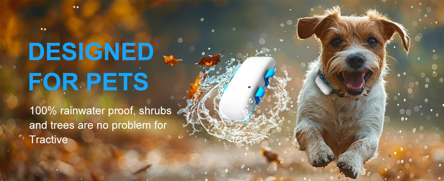 Global Pet Tracker NZ | Waterproof GPS Dog & Cat Tracker with App – Low Service Fee – PawNest