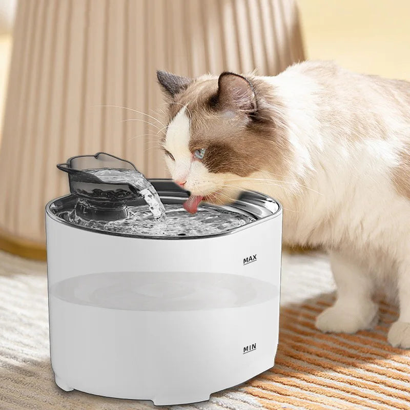 Smart Automatic Pet Water Fountain NZ | Filtered Moving Water Dispenser for Cats & Dogs – PawNest