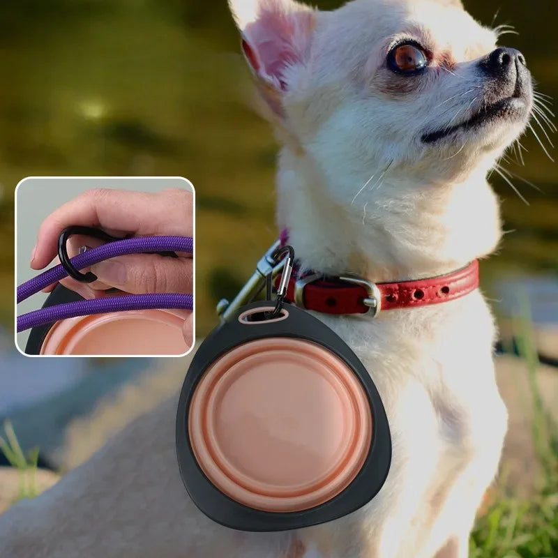 320ml Collapsible Silicone Dog Bowl – Travel Food & Water Dish