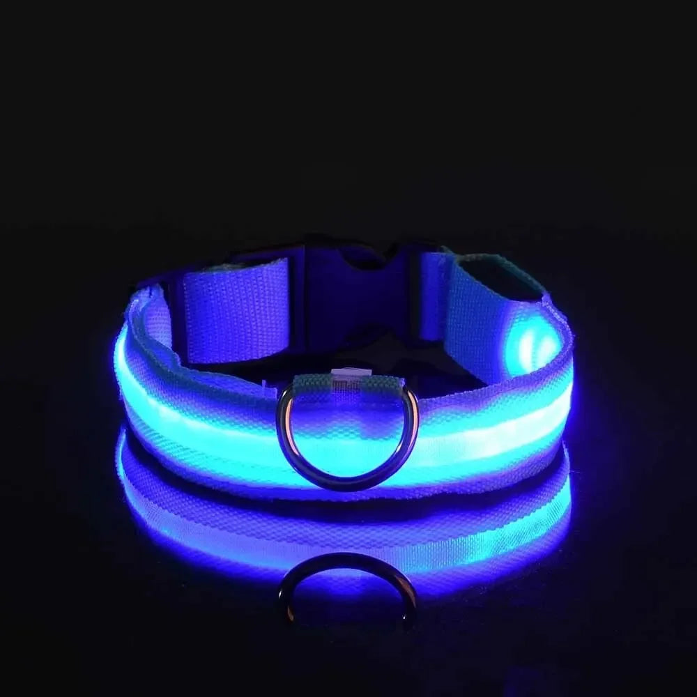 Light Up LED Dog Collar – Safety Flashing Glow Battery Collar