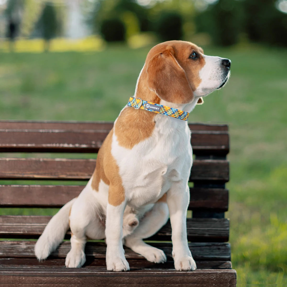 Reflective Adjustable Dog Collar – Anti-Lost Military Design