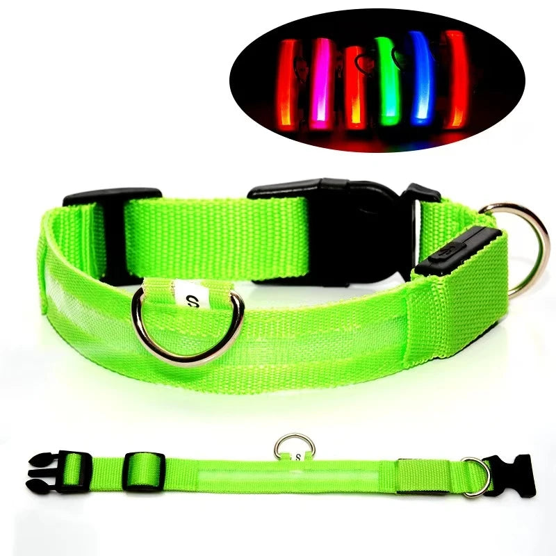 Reflective LED Dog Collar – Night Safety for Small & Medium Dogs