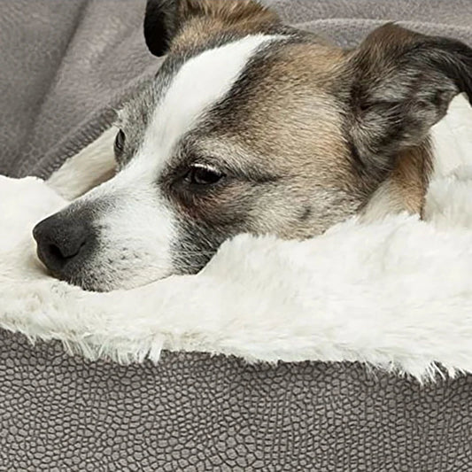 Orthopedic Dog & Cat Bed – Warm Indoor Puppy Cushion Mat