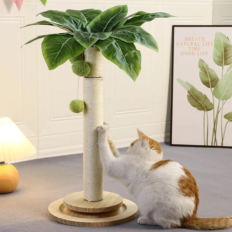 Cat Scratching Post NZ | Natural Sisal Rope Post with Hanging Balls & Wooden Track Toy – PawNest