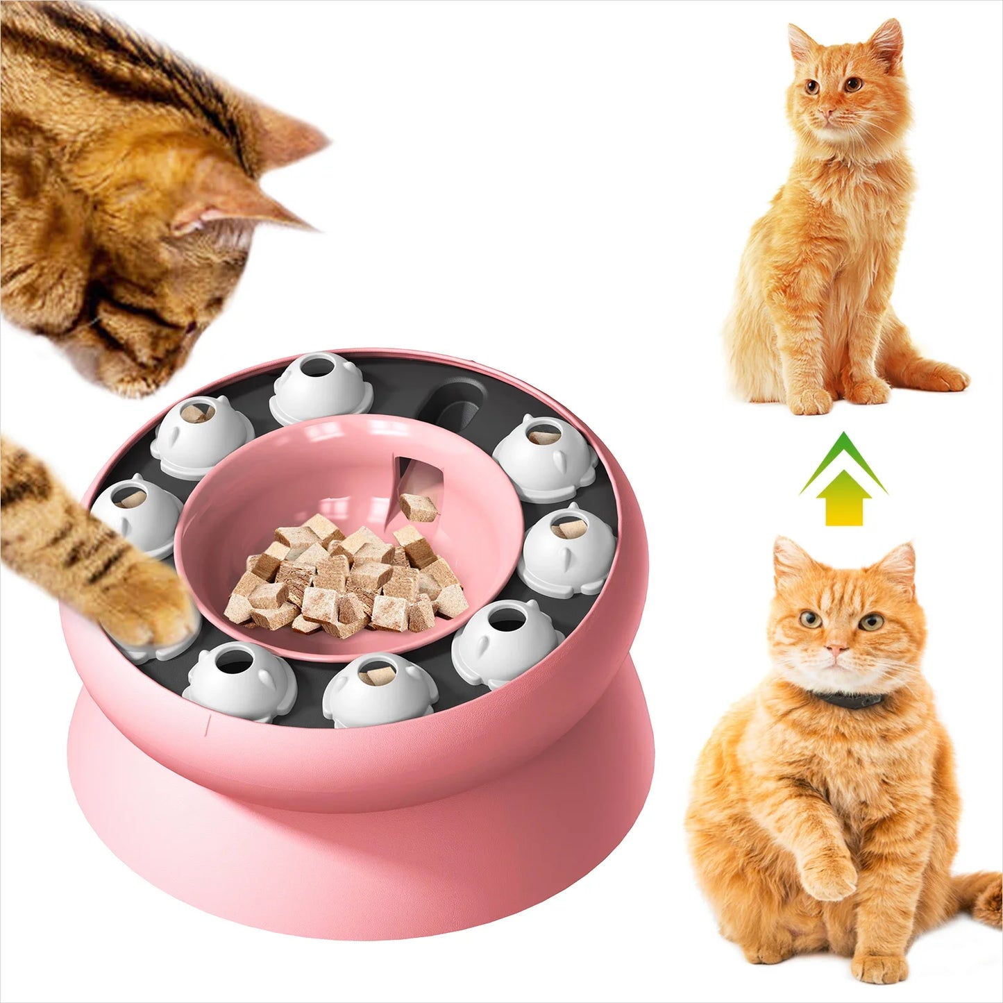 Slow Feeder Cat Bowl NZ | Interactive Puzzle Feeder for Indoor Cats – Aids Digestion & Mental Stimulation – PawNest