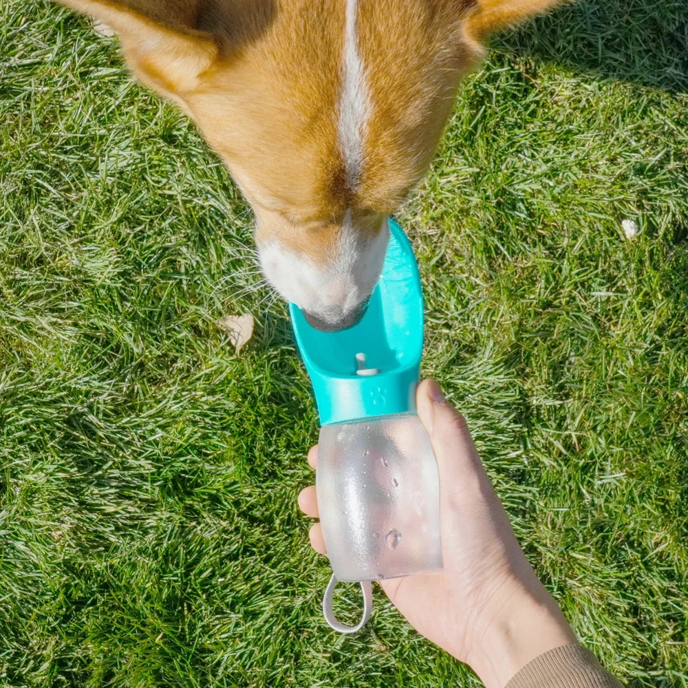 300ml Portable Dog Water Bottle – Leakproof Pet Travel Feeder