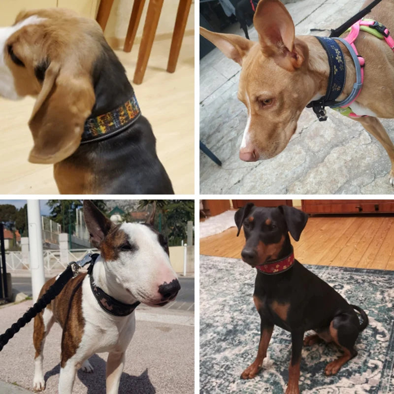 Fashion Reflective Big Dog Collar – Adjustable for All Sizes