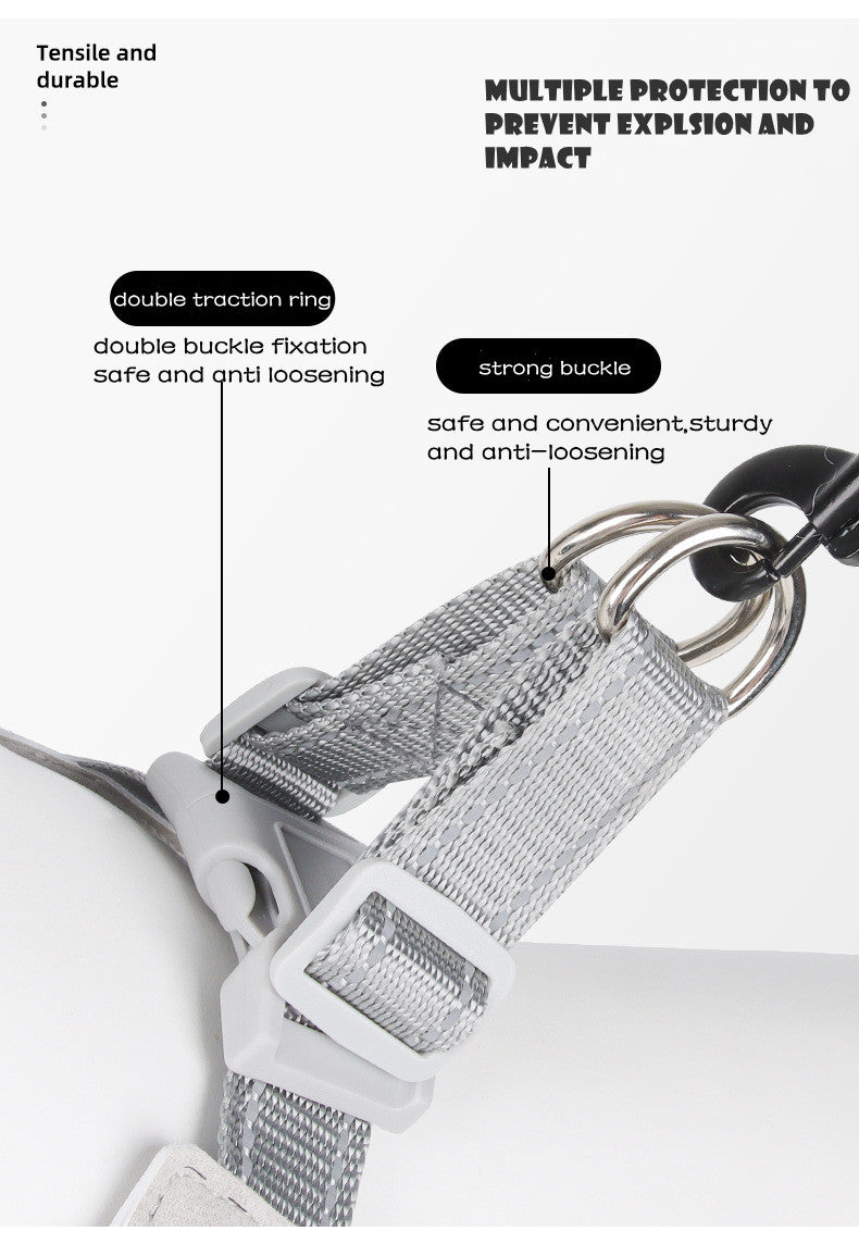 Adjustable Reflective Dog Harness NZ | Mesh Vest for Small & Large Dogs & Cats – PawNest