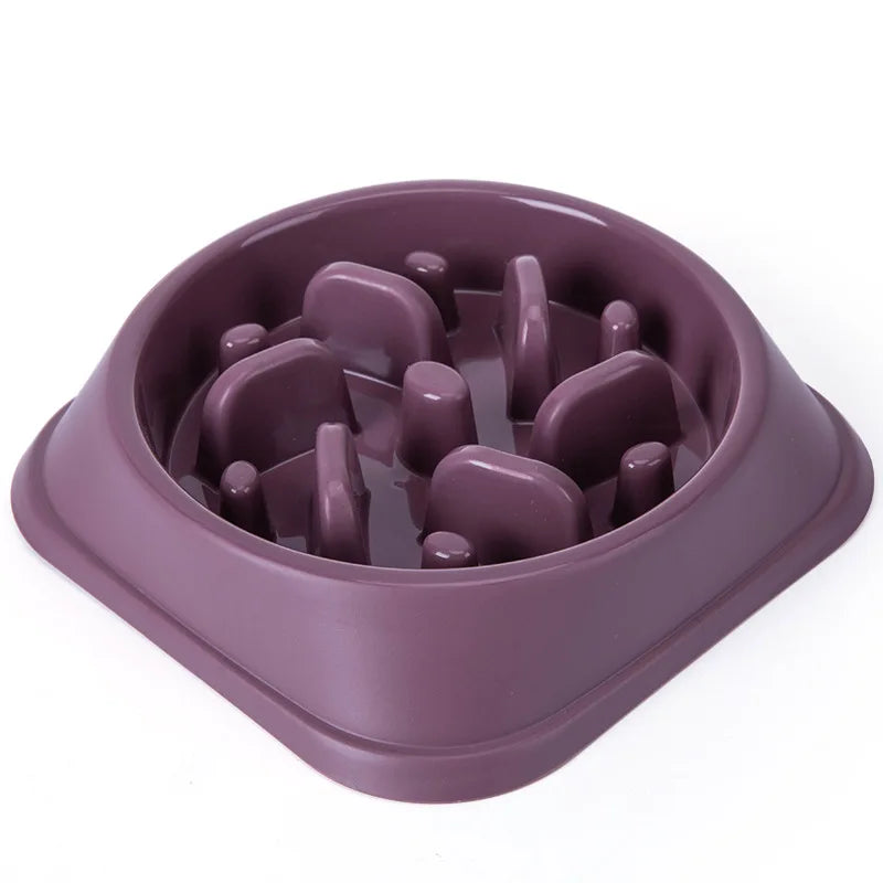 Non-Slip Slow Feeder Dog Bowl NZ | Puzzle Anti-Gulping Food Dish for Medium Dogs – PawNestedium Small Dogs Puppy